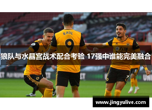 狼队与水晶宫战术配合考验 17强中谁能完美融合