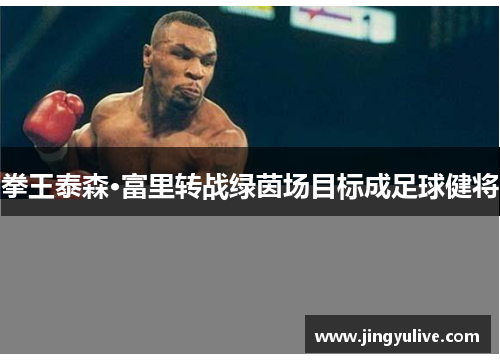 拳王泰森·富里转战绿茵场目标成足球健将 拳王泰森·富里转战绿茵场目标成足球健将